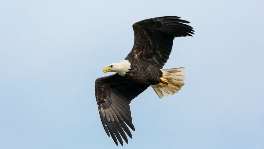 小程序內(nèi)容轉(zhuǎn)化率如何提升？請做好這3點